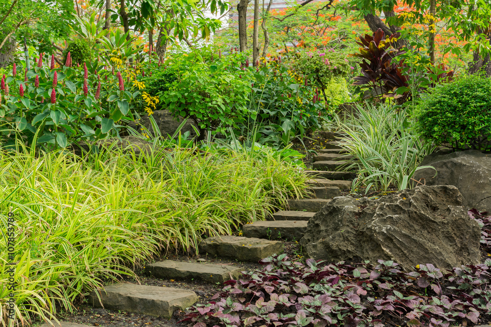 Obraz premium Stone footpath in garden