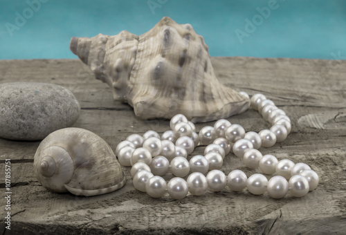 Pearl on wood with shells and water background