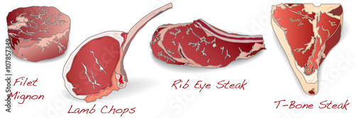 steaks set vector isolated