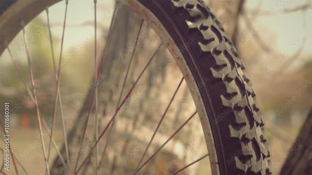 Spinning bicycle wheel