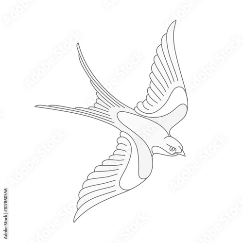 Flying swallow or swift tattoo design. Elegant bird vector illustration.