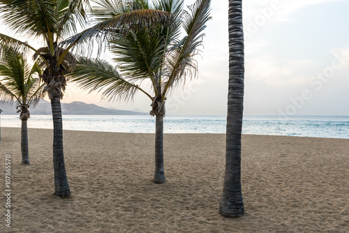 Playa de Las Canteras - beautiful beach in Las Palmas de Gran Canaria photo