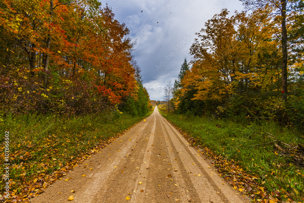 the view down a scenic country roadway in autumn landscape the view down a scenic country roadway in autumn landscape