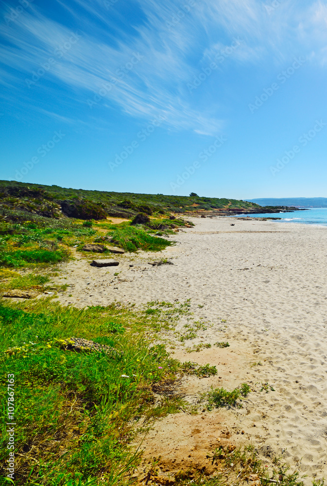 white sand in Le Bombarde beach