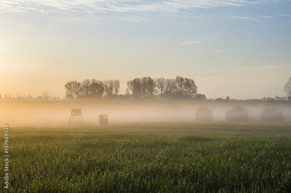 misty, sunny morning in the countryside
