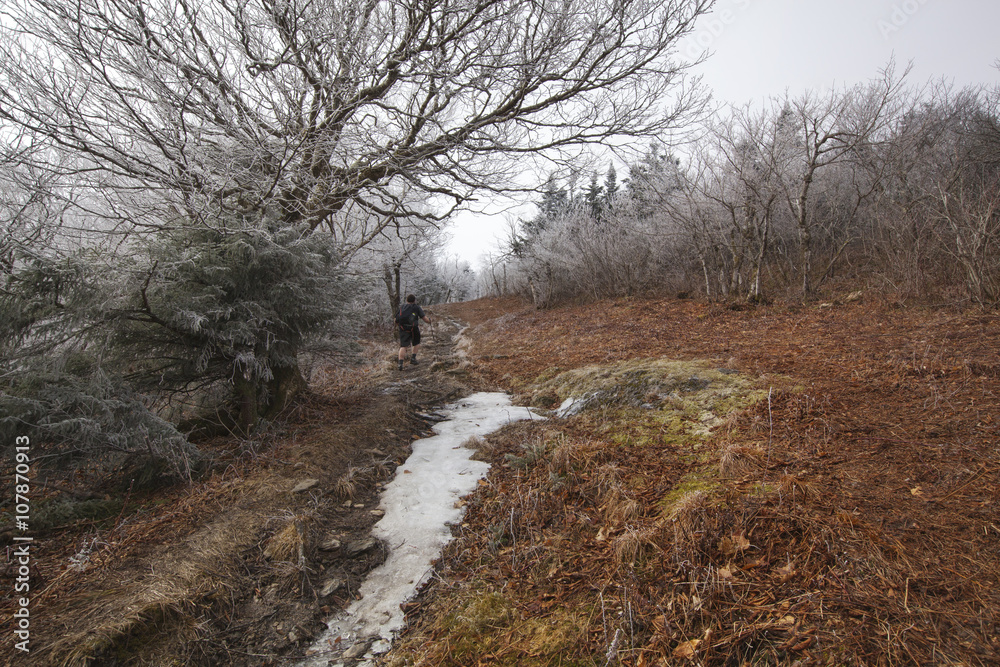 Mount Greylock in the Berkshires of Western Massachusetts.