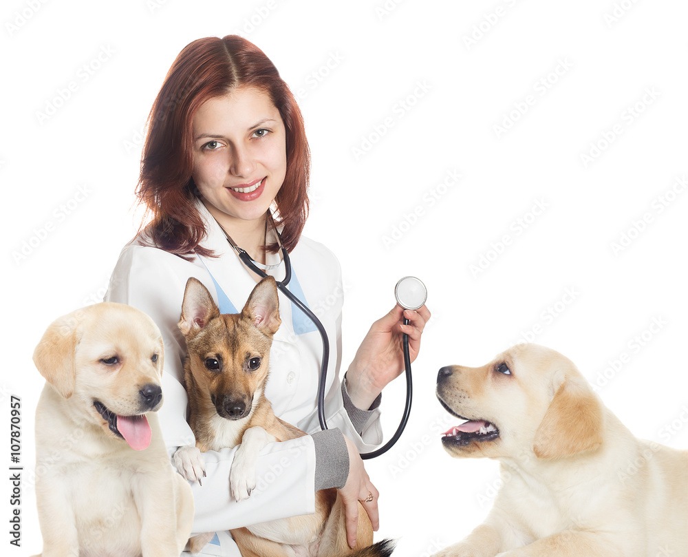 veterinarian and puppies on a white background isolated
