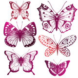Hand drawn butterflies