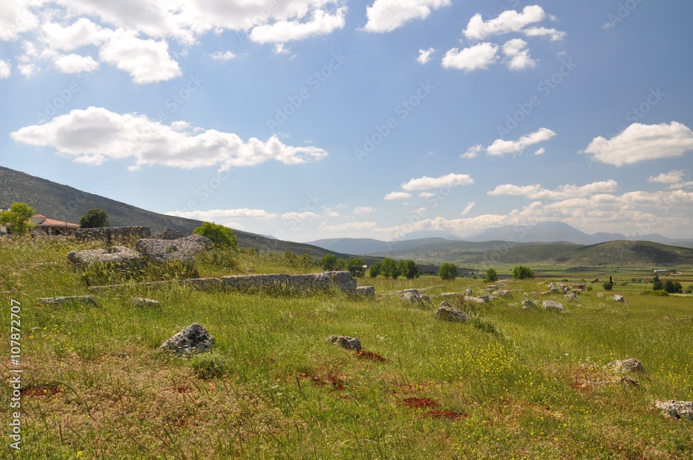 Obraz premium Plataea