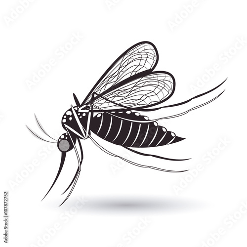 infectious gnat  design 