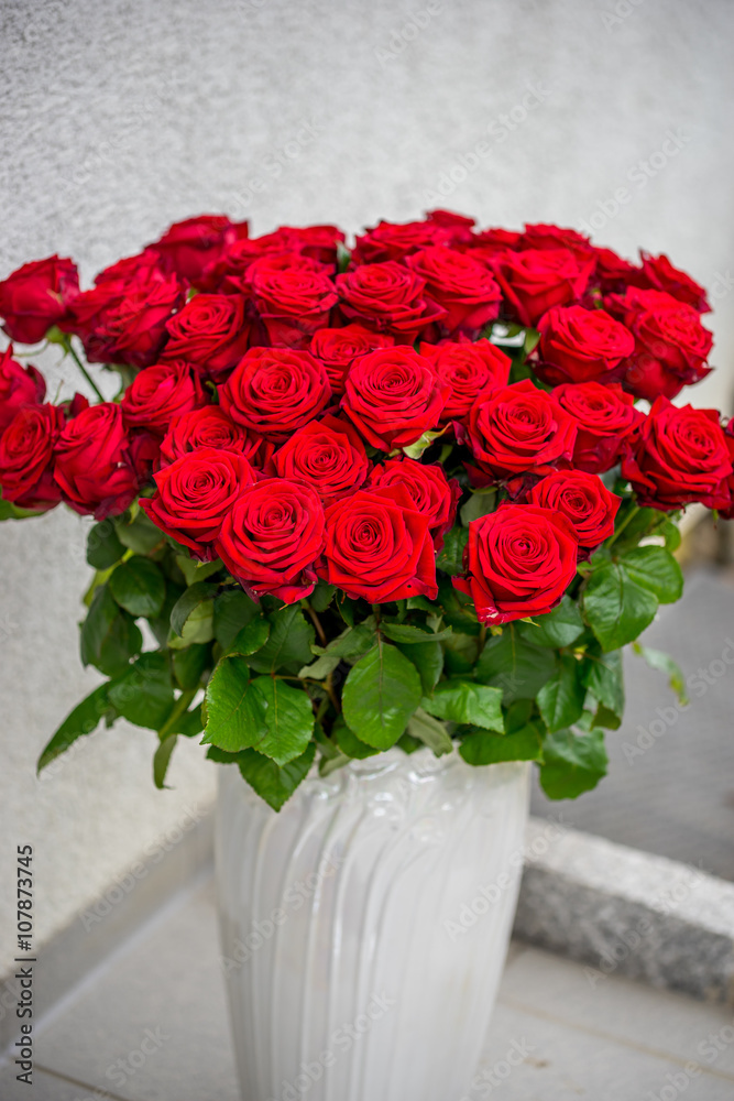 Fototapeta premium 50 red roses