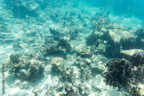 environment of underwater sea