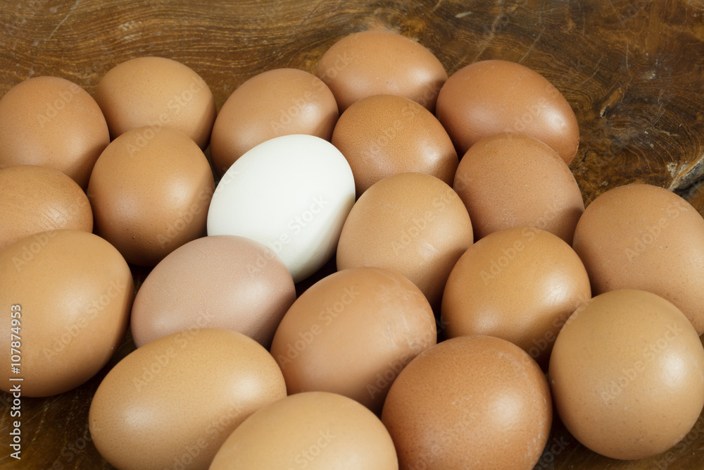 Group of identical chicken eggs except one Group of identical chicken eggs except one