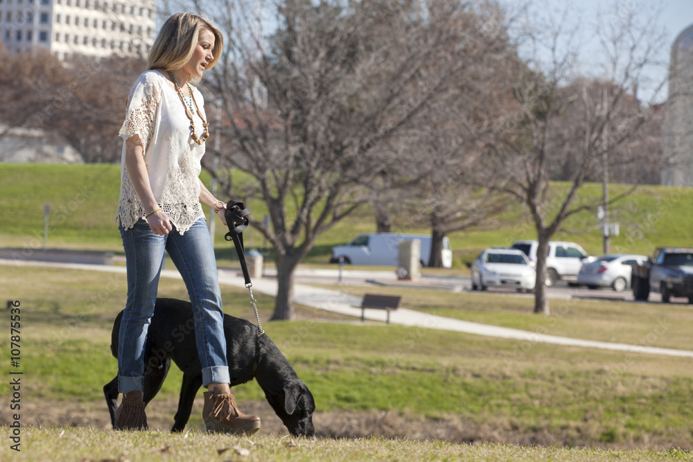 Fototapeta premium Young woman walking her dog black labrador in Trinity Park with downtown Ft Worth, Texas in background.Copy Space