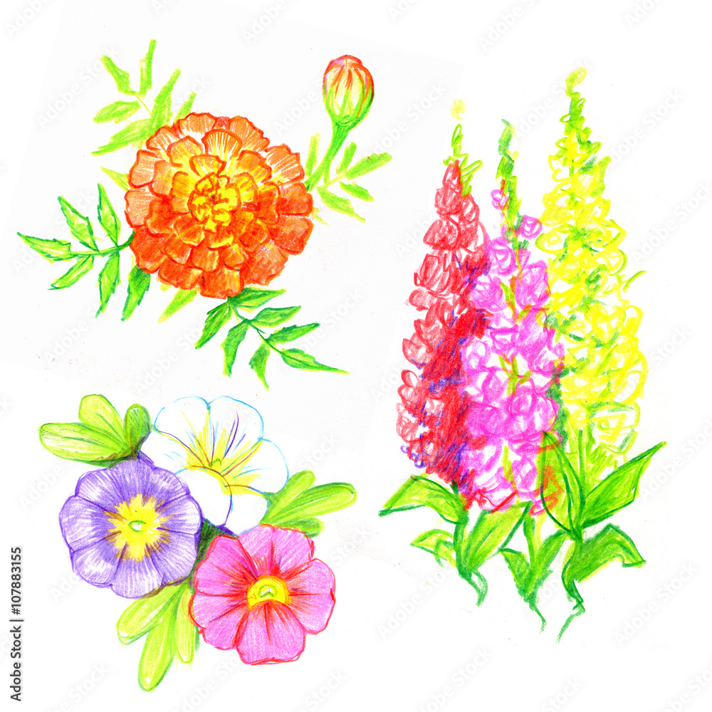 Collection decorative design of   flowers and leaves.
