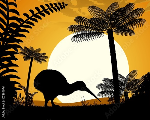 Kiwi bird on a background of tree ferns.