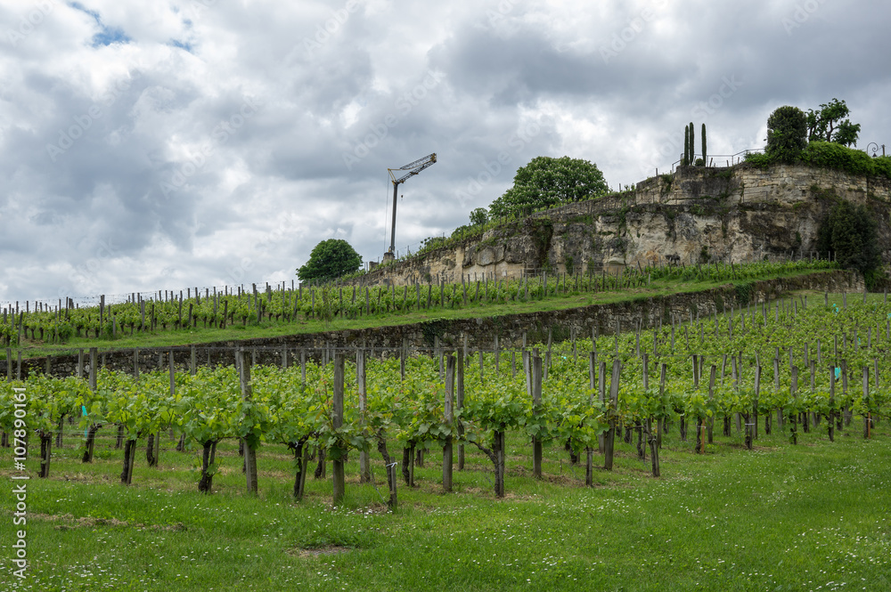 Vineyards of Saint-Emilion