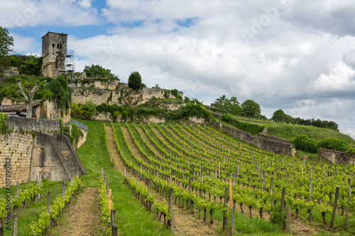 Fotografie, Tablou Vineyards of Saint-Emilion