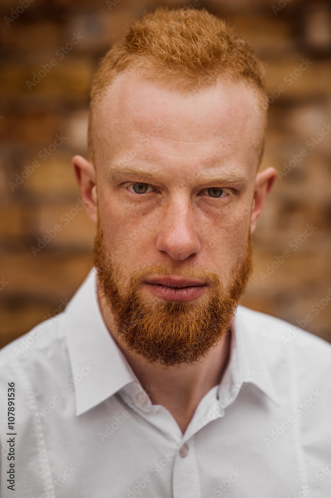 Fototapeta premium portrait of serious young red hair man with beard