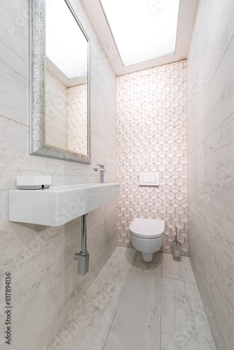 WC pan and lavatory in bathroom interior