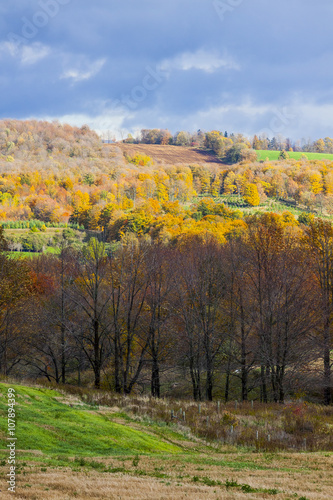 scenic view of rural countryside