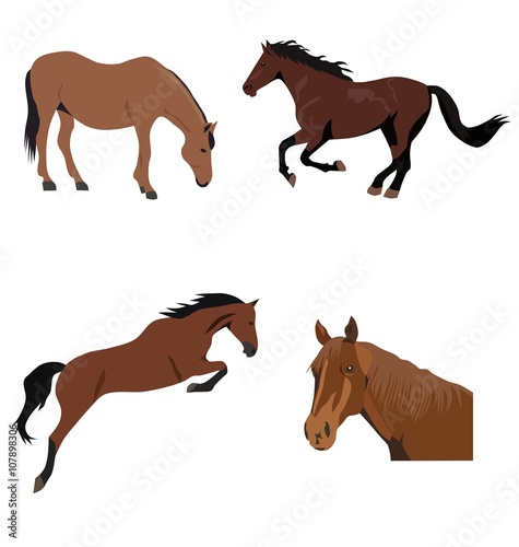 Set of brown horses  isolated vector