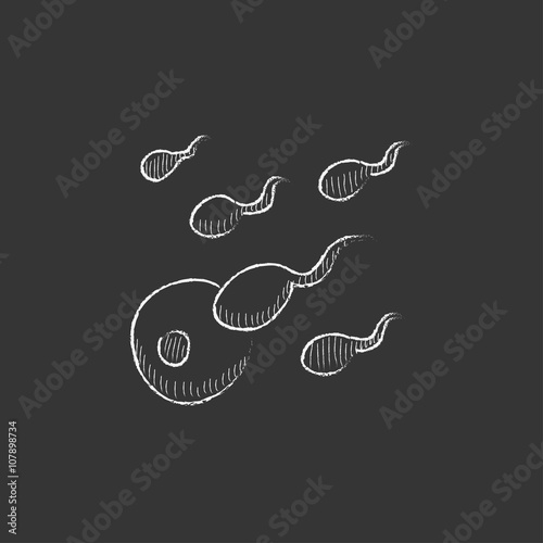 Fertilization. Drawn in chalk icon.