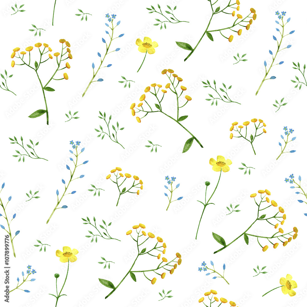 Floral seamless pattern.Colorful floral pattern with wild flowers and herbs on a white background, drawing watercolor.Forget-me-not,tansy and buttercup flowers.