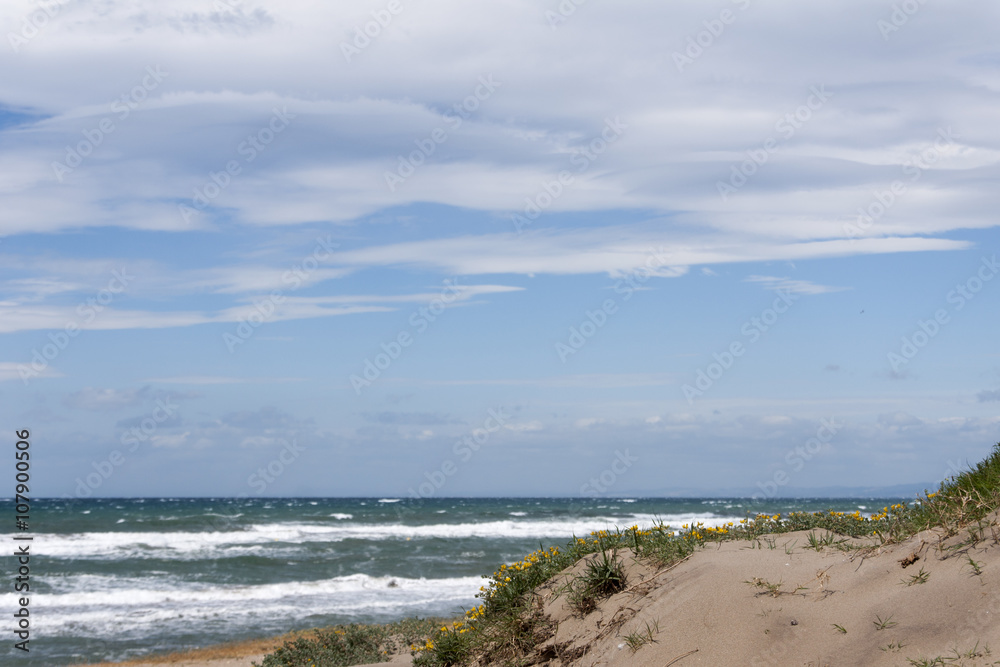 Hermosa playa de dunas de Arenas en la costa de Marbella en la costa del sol de Andalucía Hermosa playa de dunas de Arenas en la costa de Marbella en la costa del sol de Andalucía