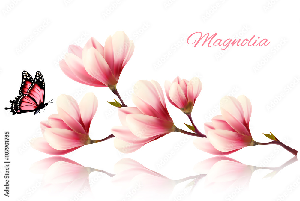 Fototapeta premium Beautiful magnolia branch with a butterfly. Vector.