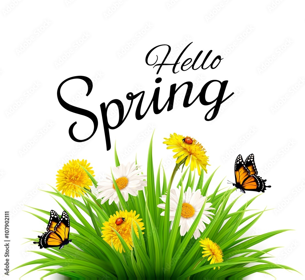 Obraz premium Spring background with grass, flowers and butterflies. Vector.