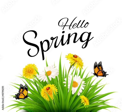 Fototapeta Naklejka Na Ścianę i Meble -  Spring background with grass, flowers and butterflies. Vector.