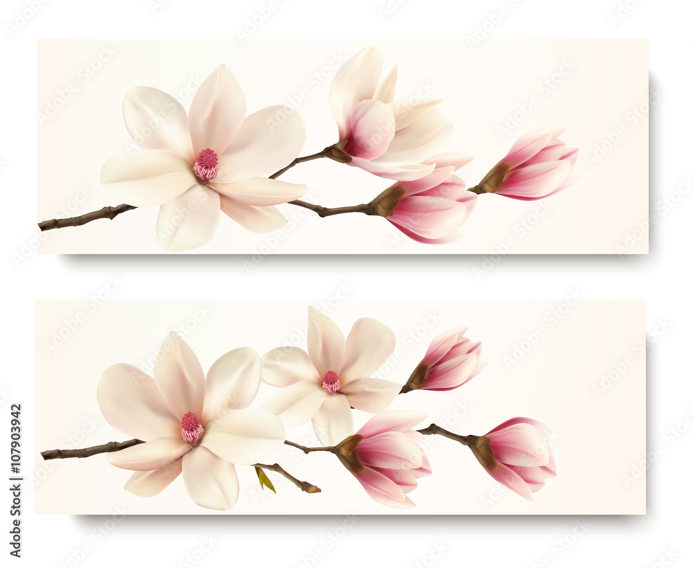 Two magnolia banners. Vector. - obrazy, fototapety, plakaty 