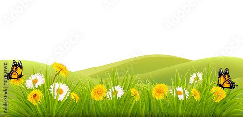 Spring background with grass, flowers and butterflies. Vector. © ecco