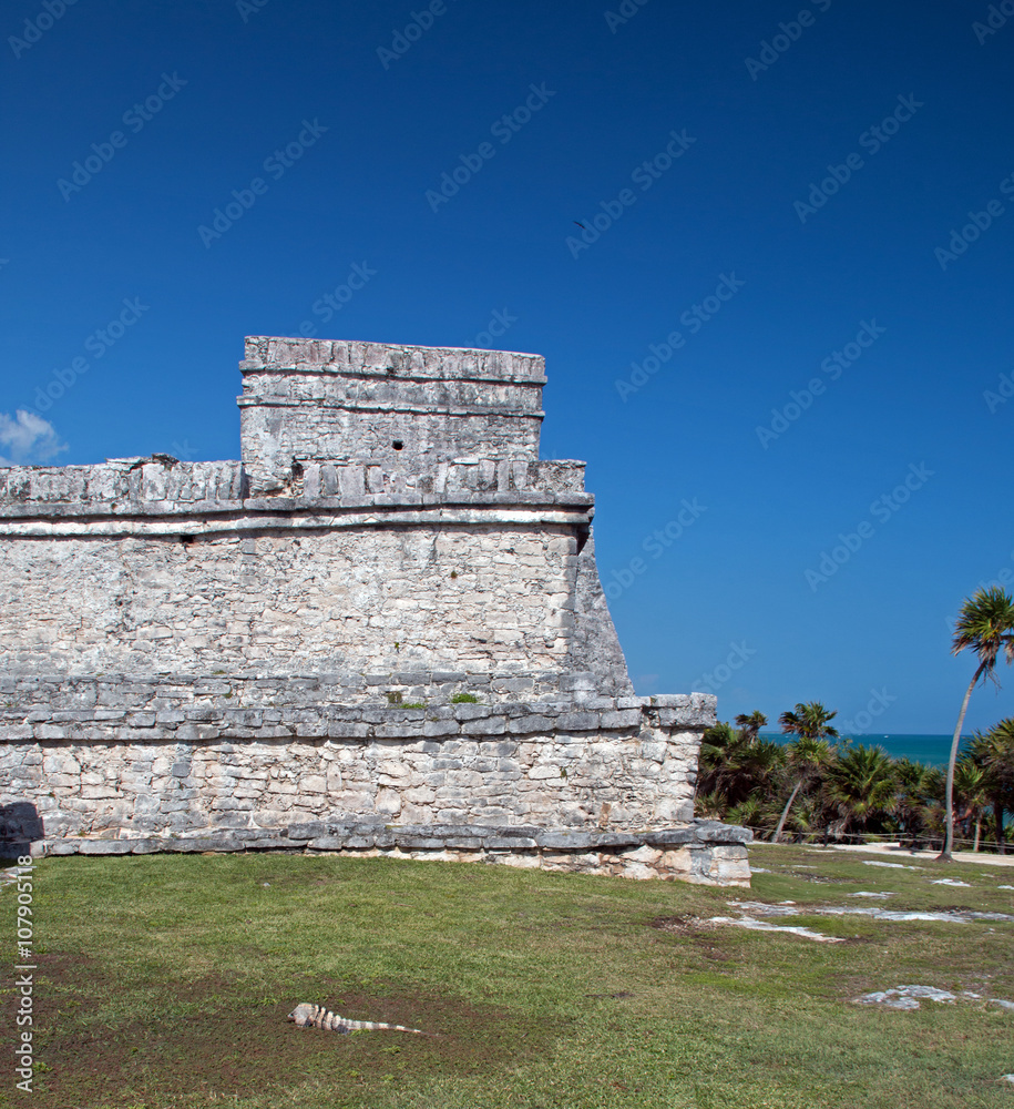 Tulum Mexico Mayan Ruins - Castillo / Temple of the Initial Series - Note Lesser Antillean Iguana in foreground