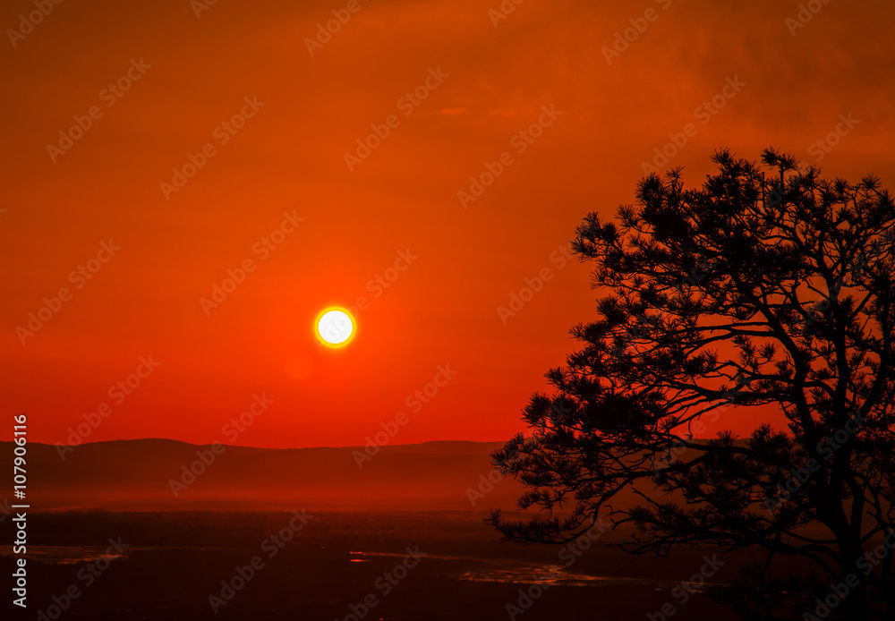 Naklejka premium Sunset in Japan