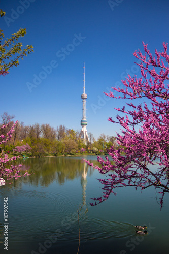 Lake TV tower at spring in Tashkent, Uzbekistan