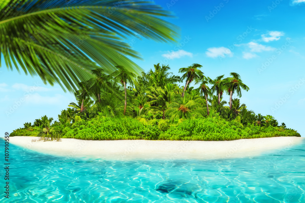 Fototapeta Cała tropikalna wyspa w atolu w tropikalnym oceanie.