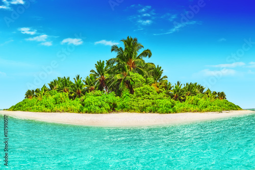 Whole tropical island within atoll in tropical Ocean.