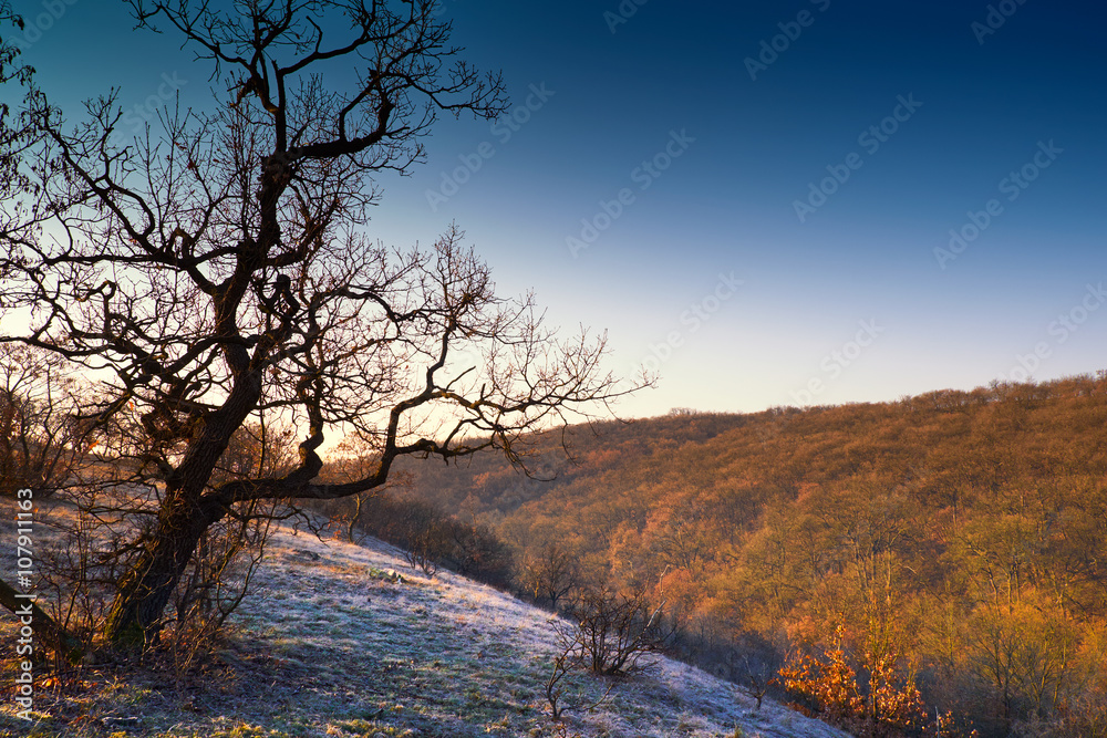 Mountain landscape Mountain landscape