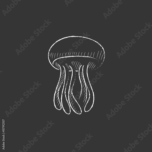 Jellyfish. Drawn in chalk icon.