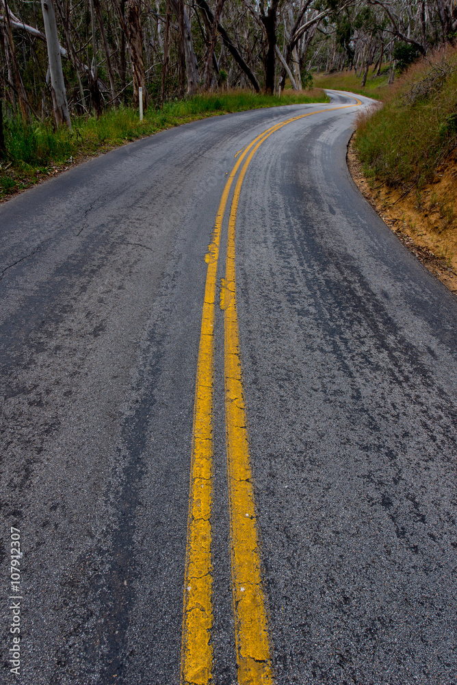 Curvy road with double yellow lines in forrest Curvy road with double yellow lines in forrest