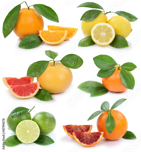 Collage Orangen Zitrone Mandarine Grapefruit bio Früchte Freist
