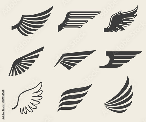 Wings vector icons set. Wing set, icon wing, feather wing bird illustration photo
