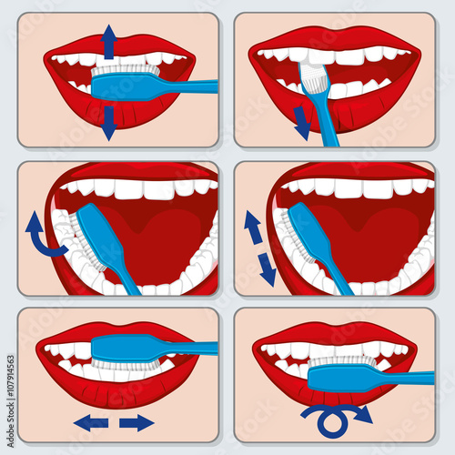 Correct tooth brushing vector infographics. Dental brushing  tooth and toothbrush using brushing, brushing banner illustration