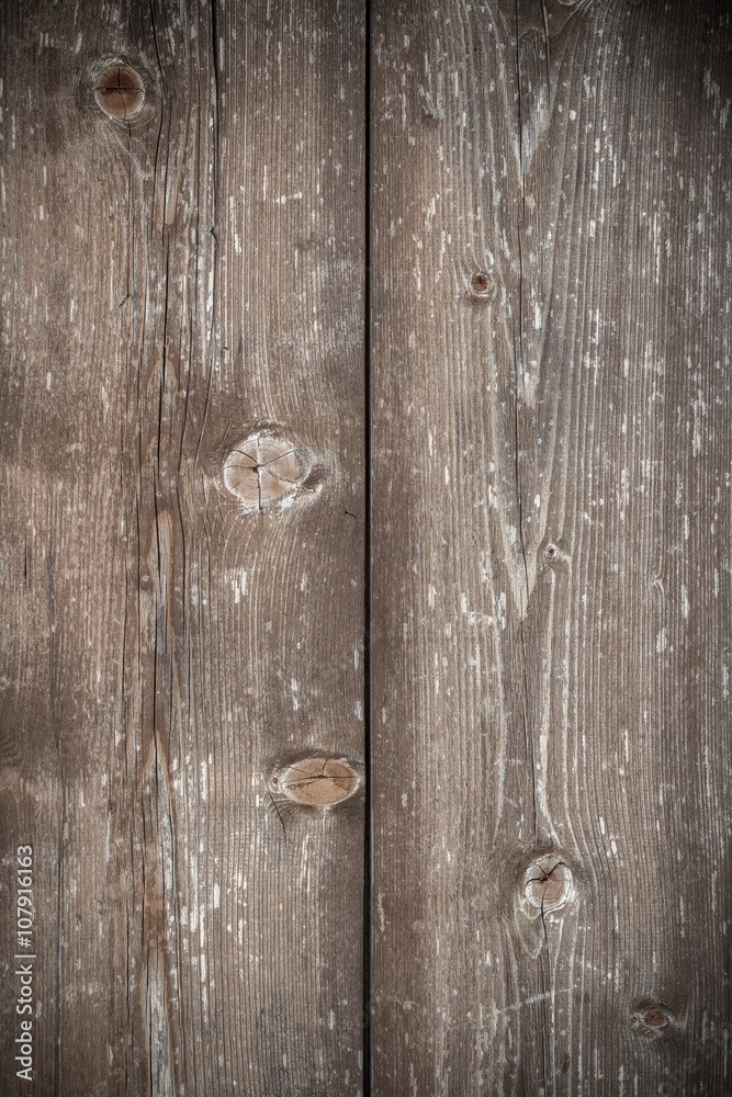 Obraz premium Old wood texture