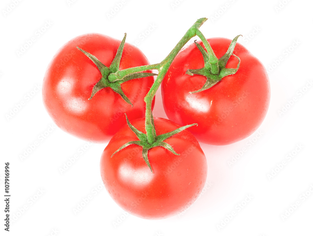 branch of three tomatoes isolated on white background branch of three tomatoes isolated on white background