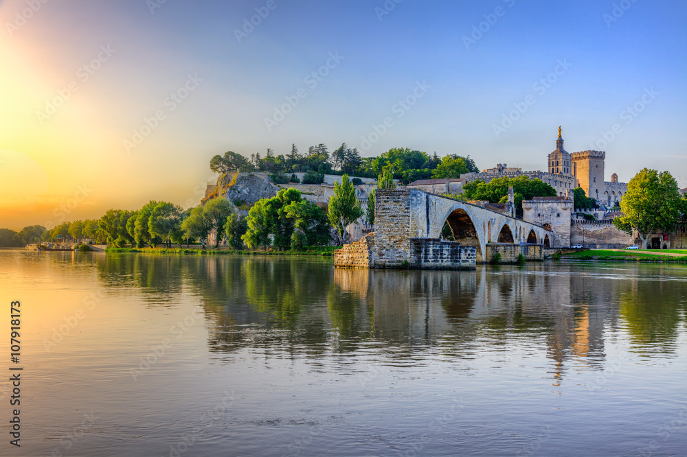 Fototapeta premium The Pont Saint Benezet and the Palais des Papes in Avignon, South France