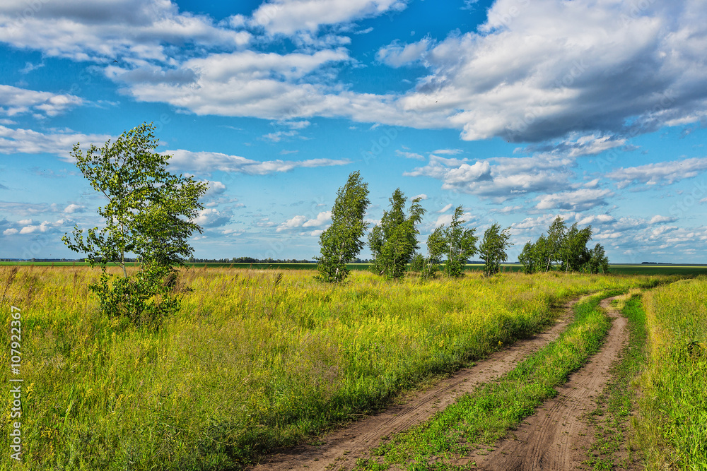 trees in the middle of the green field on a background of blue sky with clouds trees in the middle of the green field on a background of blue sky with clouds