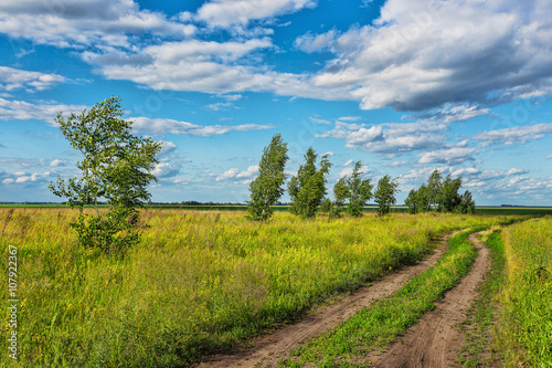 Photography trees in the middle of the green field on a background of blue sky with clouds